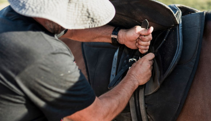 Técnico Auxiliar En Preparación E Higiene De Caballos Semental, De Exposición, Carreras, Salto Y De Polo